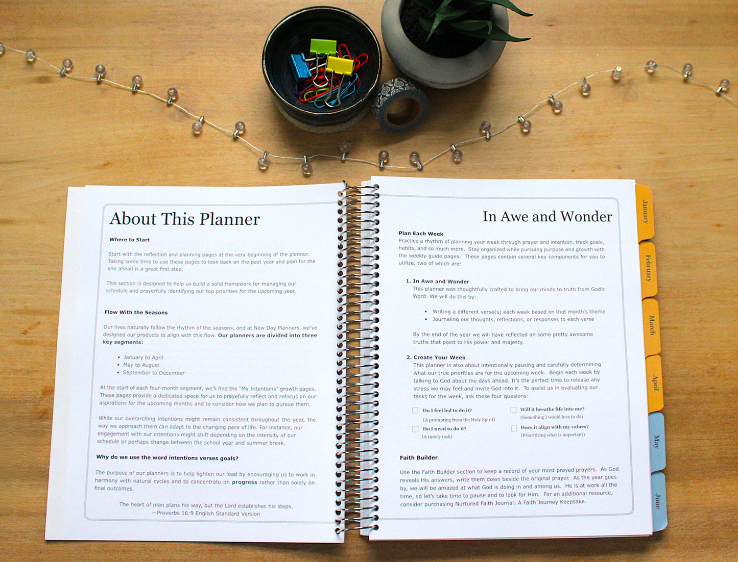 2026 In Awe and Wonder Weekly Planner (Water)