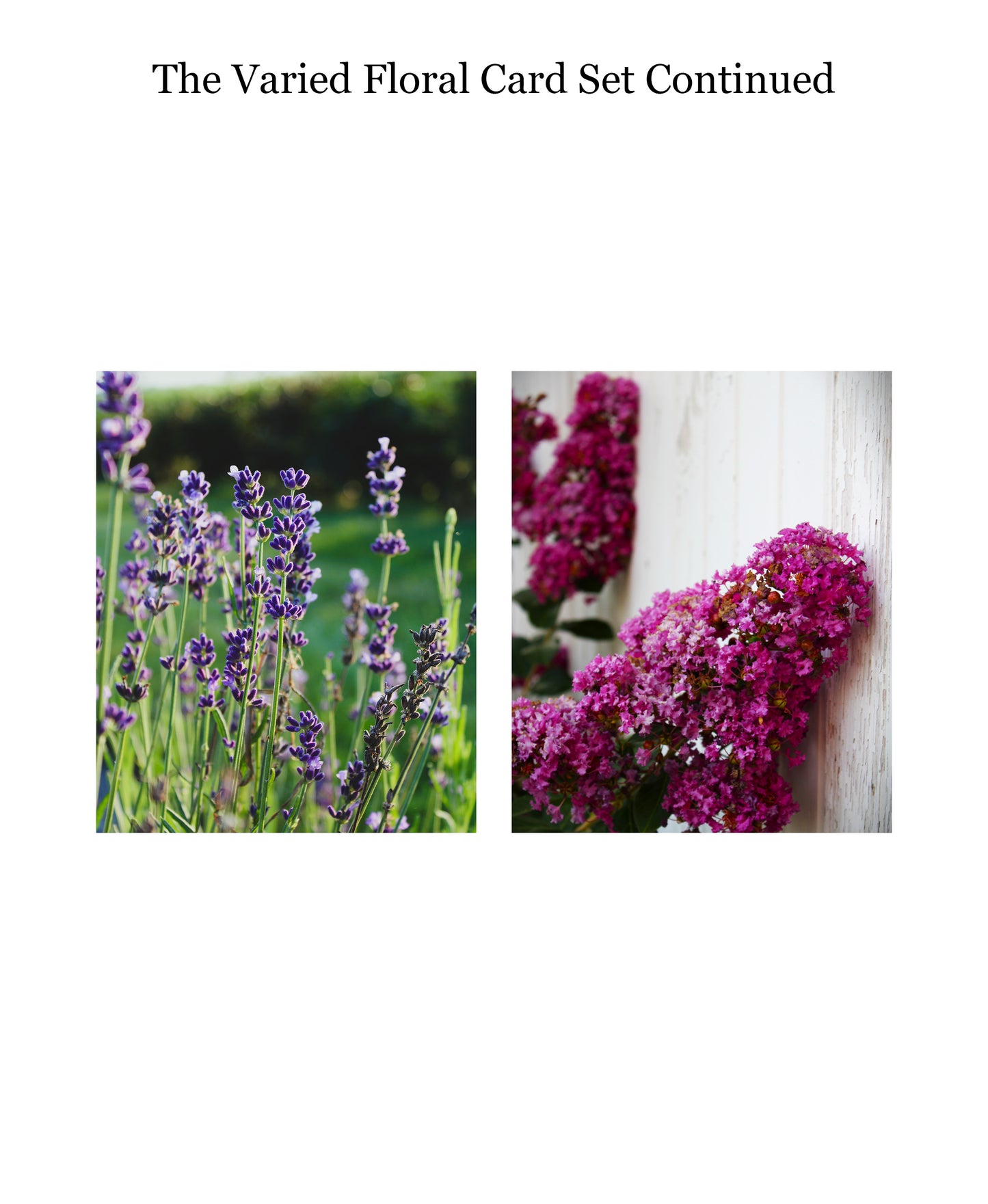 The Varied Floral Design Greeting Card Set