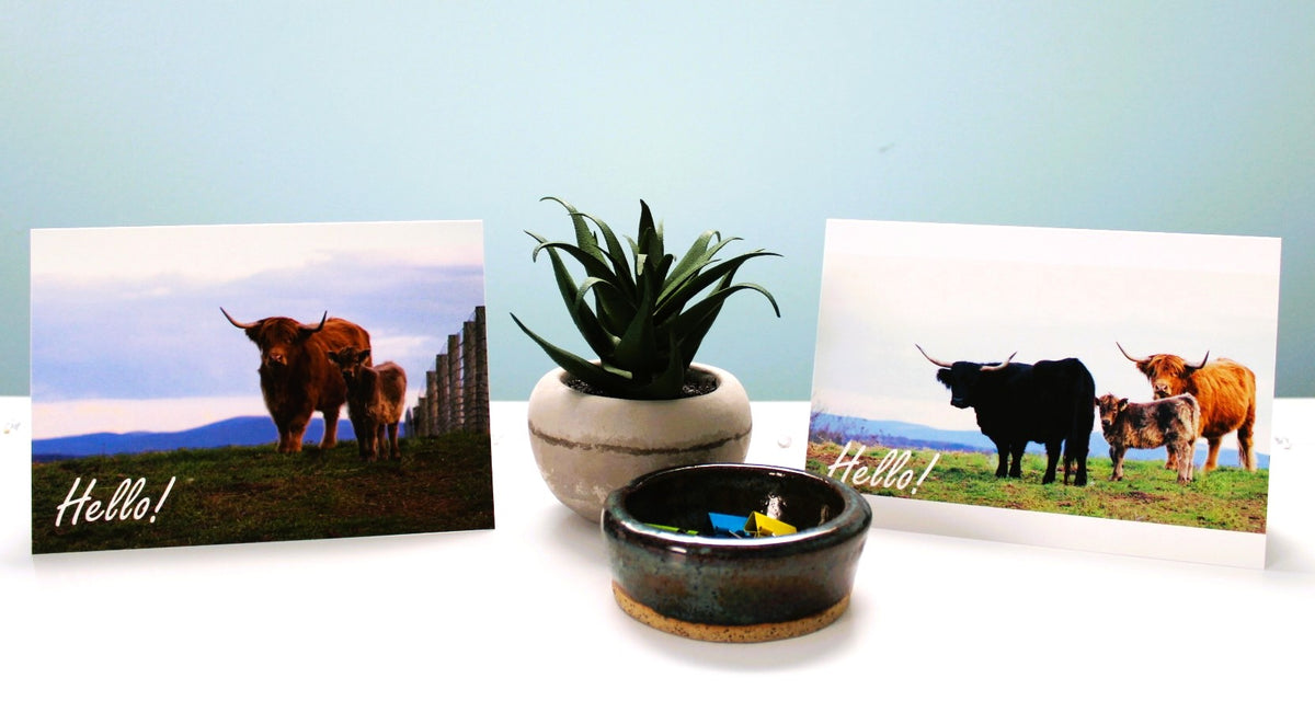 Hello-Highland/Cow Cards-10 cards/pack