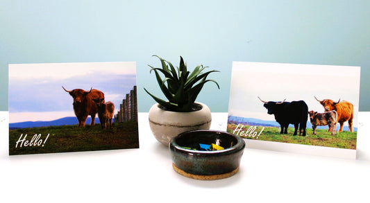 Greeting Cards: "Hello" Highland/Cow Cards (10 cards/pack)