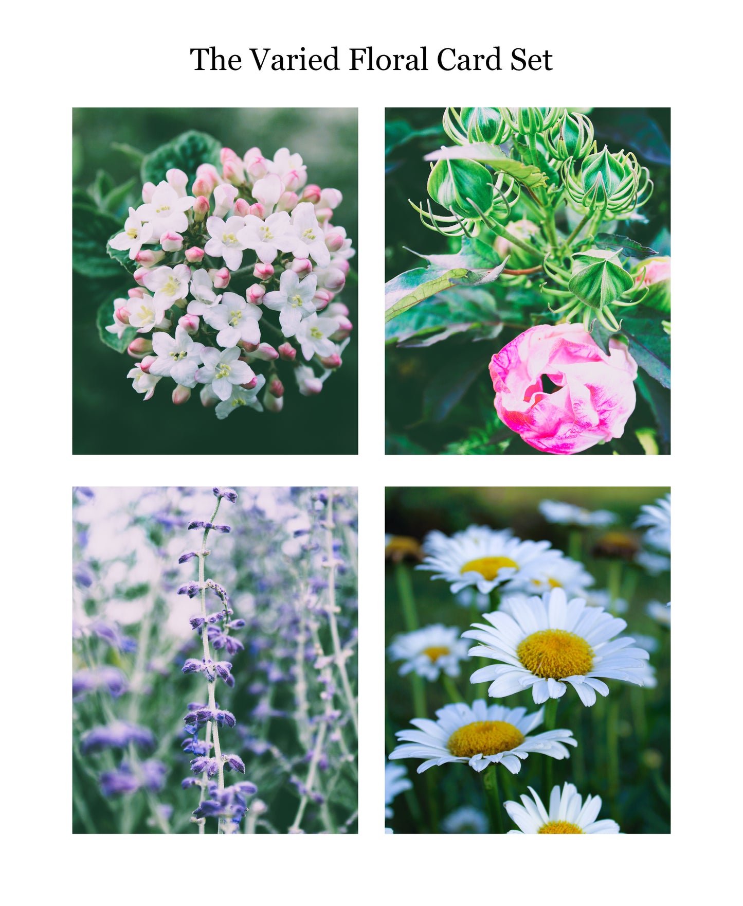 The Varied Floral Design Greeting Card Set