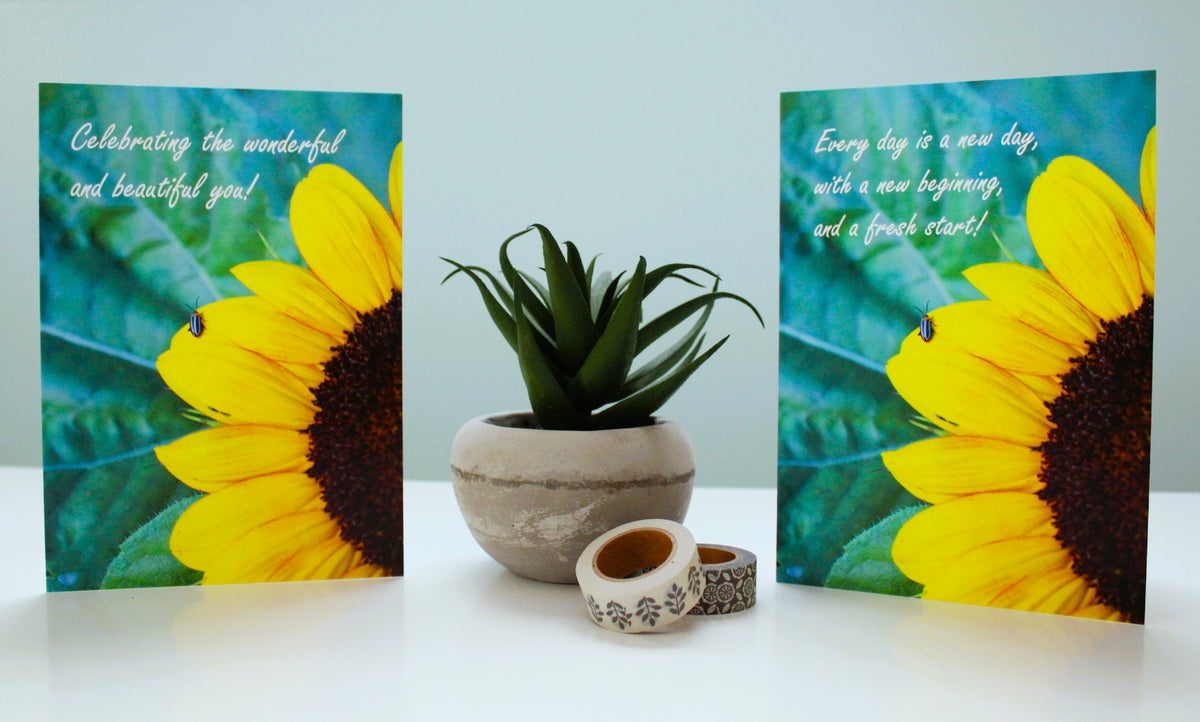 Celebrate, Flower Cards-6 cards/pack