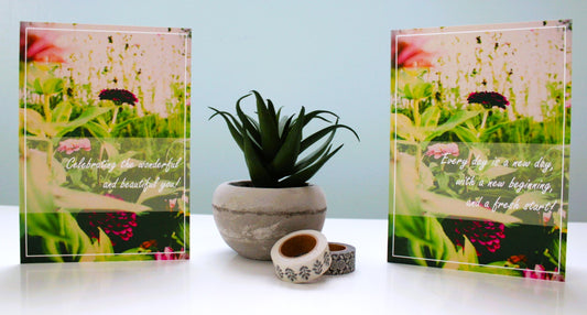 Greeting Cards: Celebrate, Flower Cards (6 cards/pack)