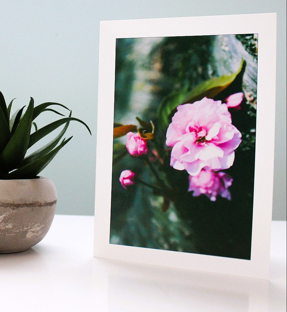 The Cherry Tree Greeting Card Set