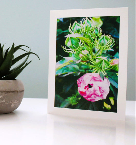 The Varied Floral Design Greeting Card Set